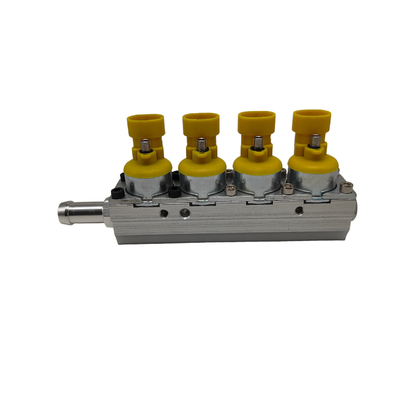 12V 1 Ohm LPG CNG-Injektor für 4-Zylinder-Autos gewährleistet eine hochpräzise Gasinspritzung
