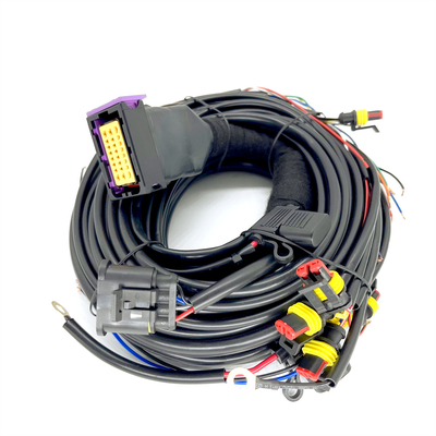 Aufeinander folgender Zylinder ECU Pin Car Wiring Harness Fors 4 CNG LPG Einspritzungs-24