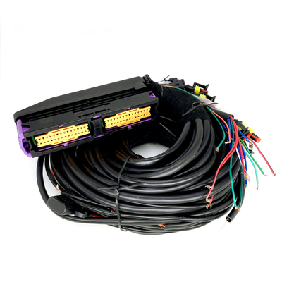Mehrpunkt-Automobilzylinder ECU Pin Fors 6 CNG LPG Kabelstrang-56