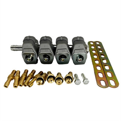 buy Sequentielle CNG-Injektor-Schiene mit 2 Ohm-Widerstand und Aluminiummaterial zur Umwandlung von Flüssiggas online manufacture