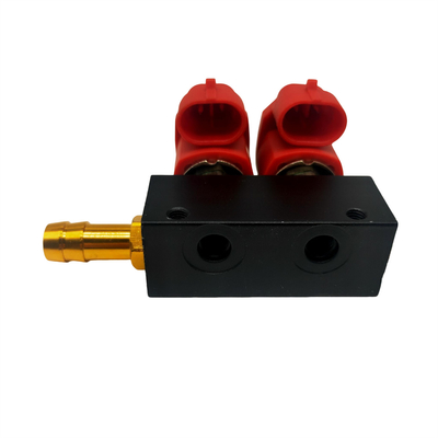 Zylinder-Injektor-Schiene LLANO LN-VTK02 2 für Auto-Kraftstoffanlage GPL GNV
