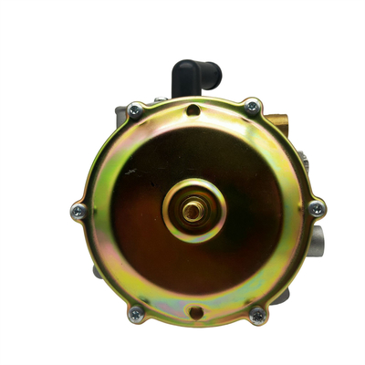 Cnc Lpg Auto Converter Kit 12 V Kraftstoffdruckregler Ngv Vergaserregler Cng