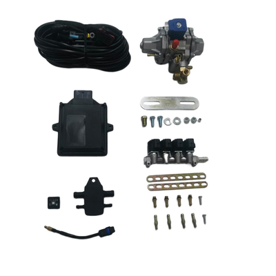 CNG-Mini-Umrüstsätze mit 48-poliger ECU-4-Zylinder-Einspritzschiene für CNG-GNV-Fahrzeuge