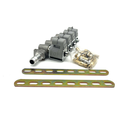 Kraftstoffeinspritzung LPG CNG 2 Ohm oder 3 Ohm Grey Injector Rail für Autogas