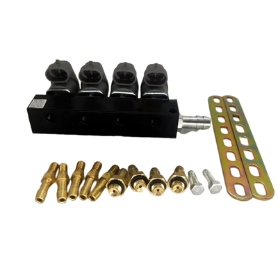 2 Ohm 3 schwarze LN-LIG1S LPG CNG Injektor-Schiene des Ohm-Widerstand-für Autogas