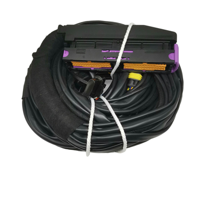 OEM Akzeptiert ISO9001 Wasserdichtes Automobilkabelgurt für 56 Pins ECU