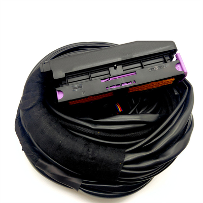 OEM Akzeptiert ISO9001 Wasserdichtes Automobilkabelgurt für 56 Pins ECU