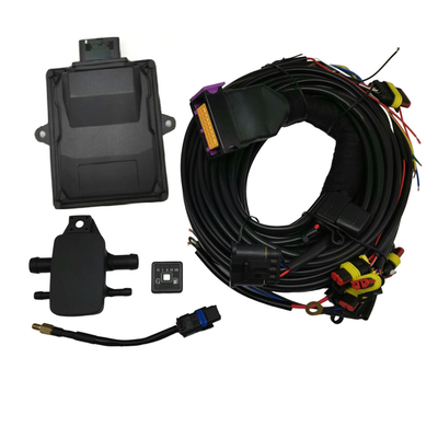 Professionelle schwarze LPG-ECU ECU-Steuerungen mit erweiterten und benutzerdefinierten Funktionen