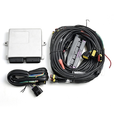Silbernes Auto CNG LPG ECU LN2568 Autogas für die 6/8 Zylinder-Maschinen