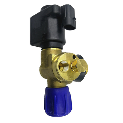 Zylinder-Ventil-Auto-Gichtventil DC12V des Solenoid-CNG für Selbstgas-Kraftstoffanlage