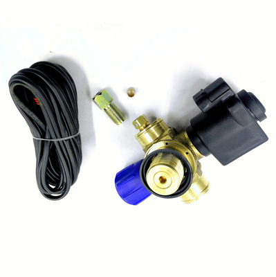 Zylinder-Ventil-Auto-Gichtventil DC12V des Solenoid-CNG für Selbstgas-Kraftstoffanlage