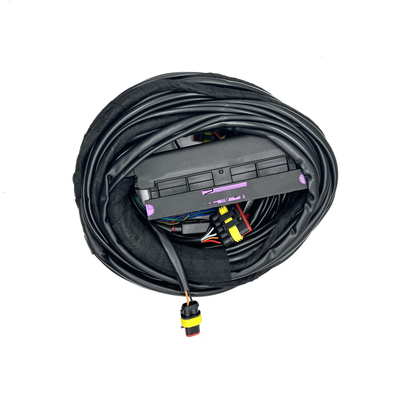 4 Zylinder ECU-Mehrpunktbenzineinspritzungs-Geschirr 56 Selbstkabelstrang Pin CNG LPG