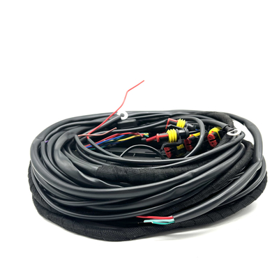 56 Benzineinspritzungs-Verbindungs-Kabelstrang Pin ECU Kabelbaum-Mehrpunkt-CNG LPG