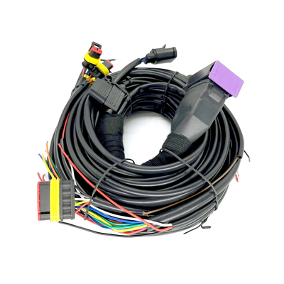Aufeinander folgender Zylinder ECU Pin Car Wiring Harness Fors 4 CNG LPG Einspritzungs-24