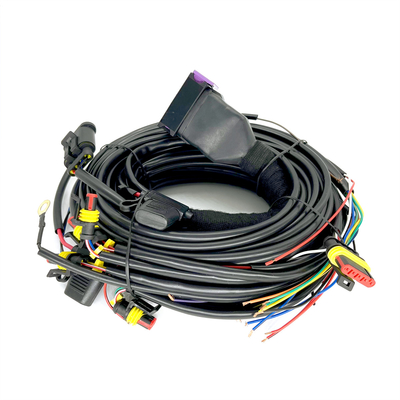 Aufeinander folgender Zylinder ECU Pin Car Wiring Harness Fors 4 CNG LPG Einspritzungs-24