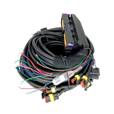 Mehrpunkt-Automobilzylinder ECU Pin Fors 6 CNG LPG Kabelstrang-56
