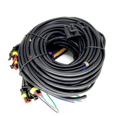 Mehrpunkt-Automobilzylinder ECU Pin Fors 6 CNG LPG Kabelstrang-56