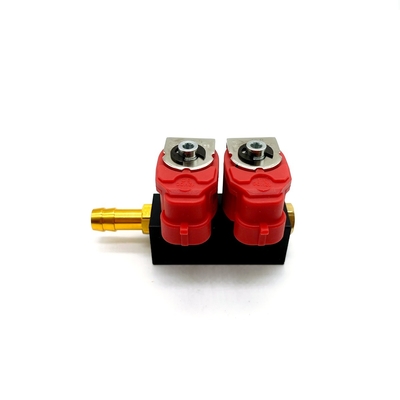 2 Injektor-Schienen-Einspritzleitung des Zylinder-3Ohm CNG LPG für Autogas-Umwandlungs-System