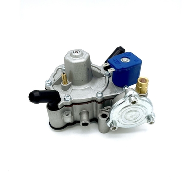 Getrennter Gas und Wasserkreislauf Druckregler 125W Autogas LPG