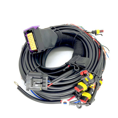 Good price Aufeinander folgender Zylinder ECU Pin Car Wiring Harness Fors 4 CNG LPG Einspritzungs-24 Online